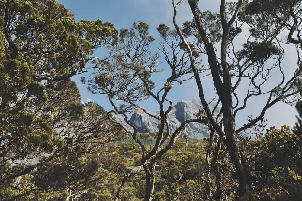 Kinabalu Park