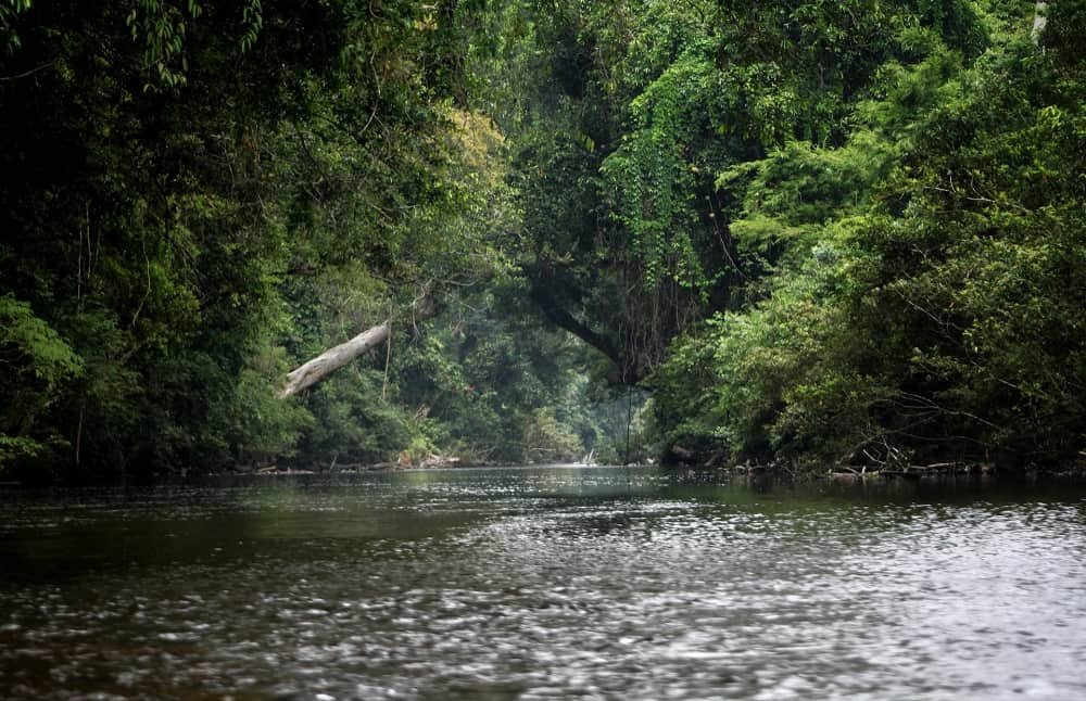 Taman Negara