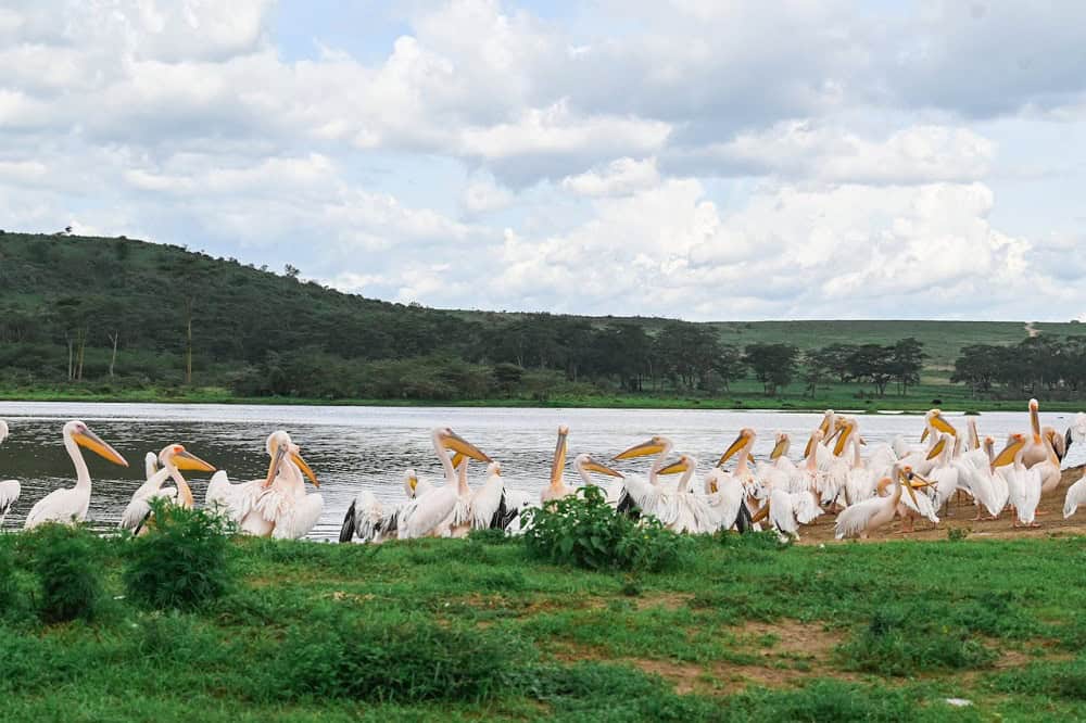 Lake Nakuru National Park