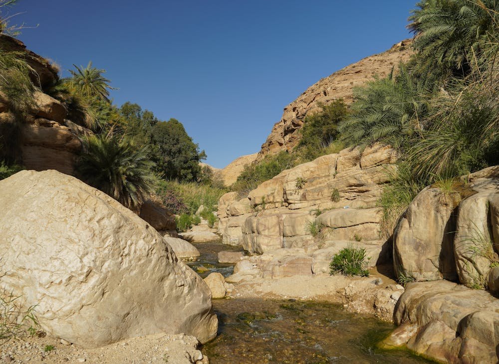 Kerak Castle