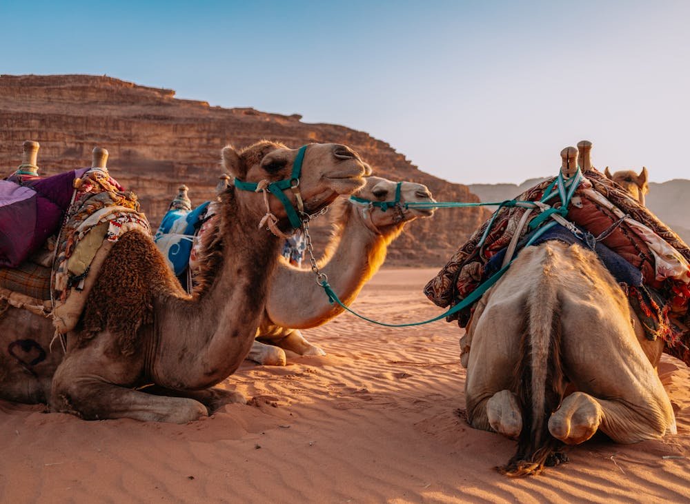 Places to Visit in Jordan