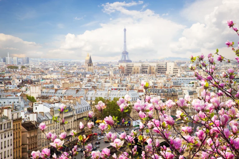 France: Paris Cherry Blossoms