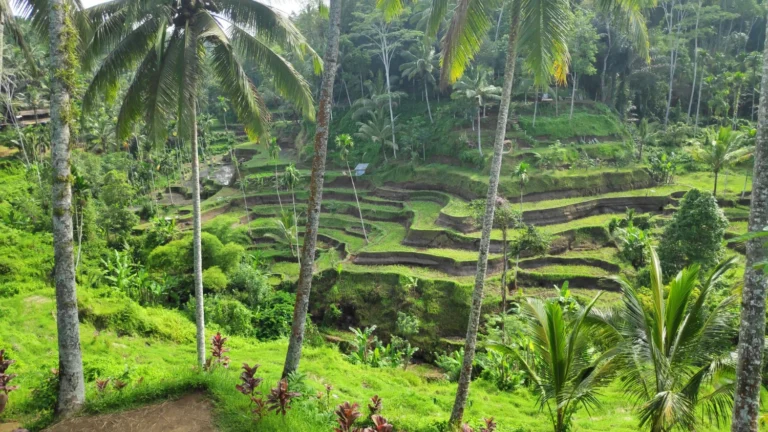 Sidemen: Bali’s Peaceful Hidden Valley