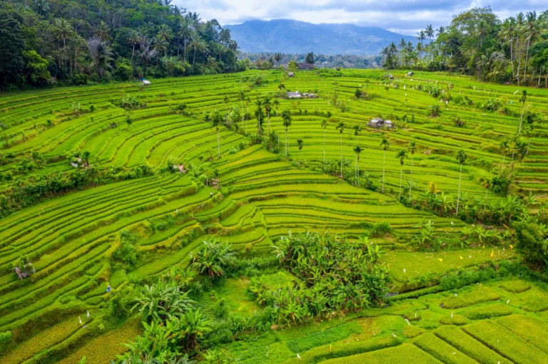 Sidemen: Bali’s Peaceful Hidden Valley