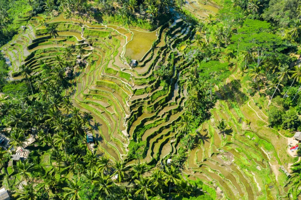 Sidemen: Bali’s Peaceful Hidden Valley